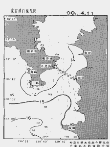 東京湾口海況図(2000/04/11)