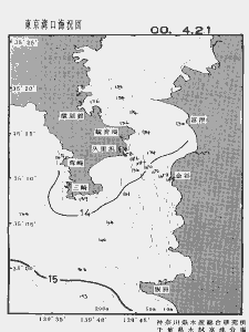 東京湾口海況図(2000/04/21)