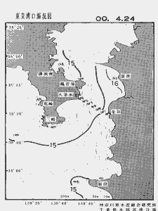 東京湾口海況図(2000/04/24)