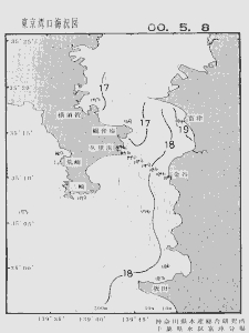 東京湾口海況図(2000/05/08)