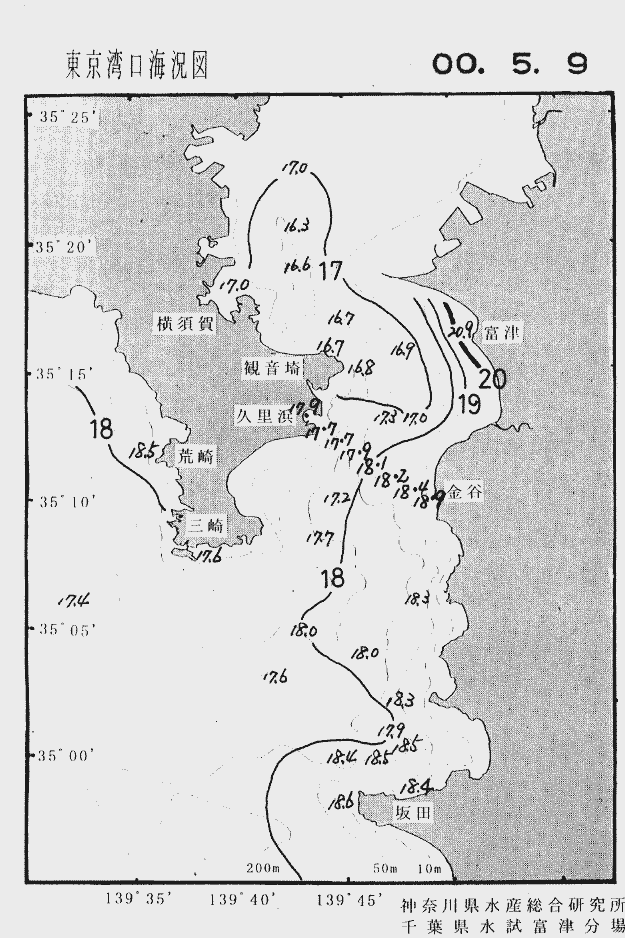 海況図, 東京湾口海況図 検索結果, (水温分布 等を図示)
