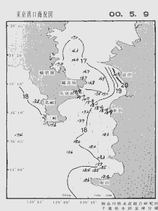 東京湾口海況図(2000/05/09)