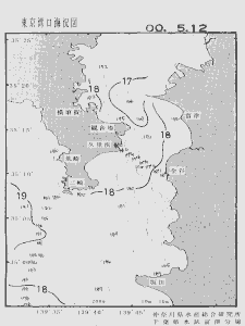 東京湾口海況図(2000/05/12)