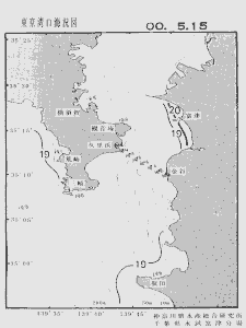 東京湾口海況図(2000/05/15)