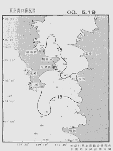 東京湾口海況図(2000/05/19)