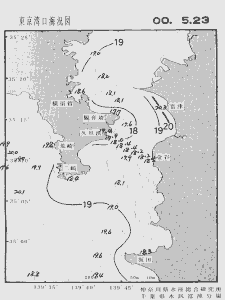 東京湾口海況図(2000/05/23)