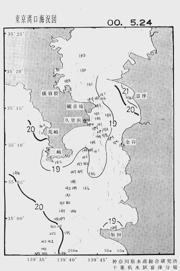 海況図, 東京湾口海況図 検索結果, (水温分布 等を図示)