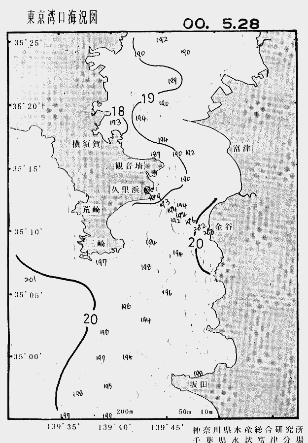 海況図, 東京湾口海況図 検索結果, (水温分布 等を図示)