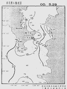 東京湾口海況図(2000/05/29)