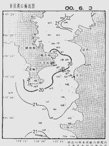 東京湾口海況図(2000/06/03)