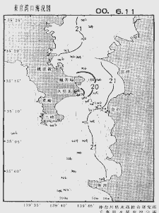 東京湾口海況図(2000/06/11)
