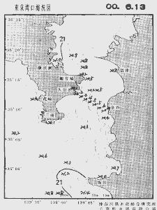 東京湾口海況図(2000/06/13)