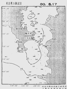 東京湾口海況図(2000/06/17)