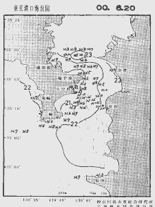 東京湾口海況図(2000/06/20)