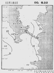 東京湾口海況図(2000/06/22)