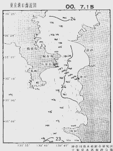 東京湾口海況図(2000/07/15)