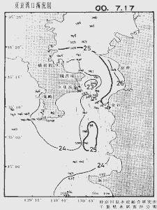 東京湾口海況図(2000/07/17)