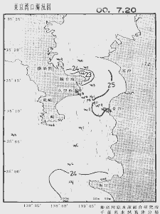 東京湾口海況図(2000/07/20)