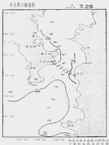 東京湾口海況図(2000/07/29)