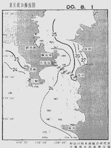 東京湾口海況図(2000/08/01)
