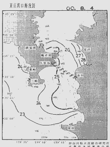 東京湾口海況図(2000/08/04)