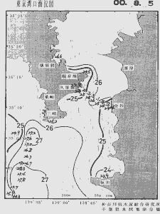 東京湾口海況図(2000/08/05)