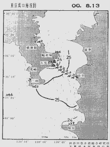 東京湾口海況図(2000/08/13)