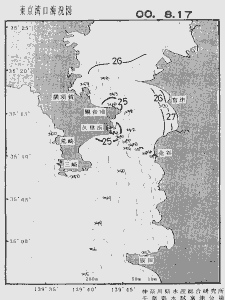東京湾口海況図(2000/08/17)