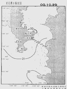 東京湾口海況図(2000/10/29)