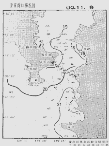 東京湾口海況図(2000/11/09)