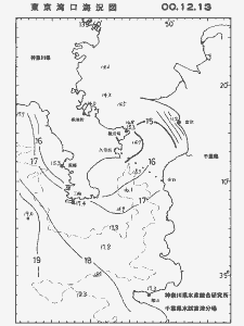 東京湾口海況図(2000/12/13)