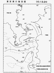 東京湾口海況図(2000/12/20)