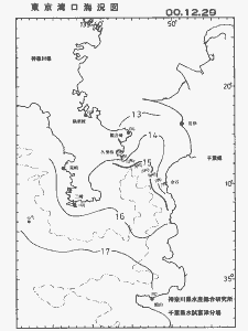 東京湾口海況図(2000/12/29)
