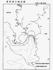 東京湾口海況図(2000/12/30)
