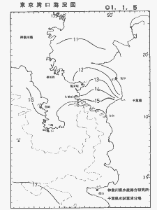 東京湾口海況図(2001/01/05)