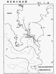 東京湾口海況図(2001/01/08)
