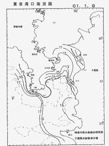 東京湾口海況図(2001/01/09)