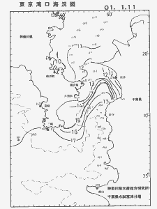 東京湾口海況図(2001/01/11)