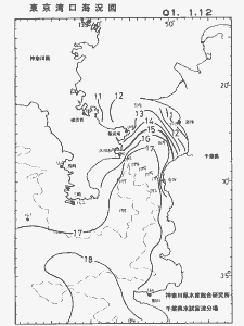 東京湾口海況図(2001/01/12)
