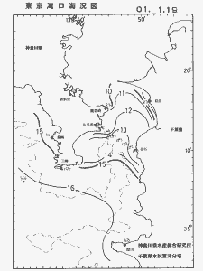 東京湾口海況図(2001/01/19)