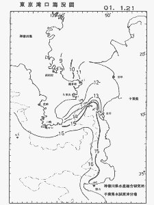東京湾口海況図(2001/01/21)