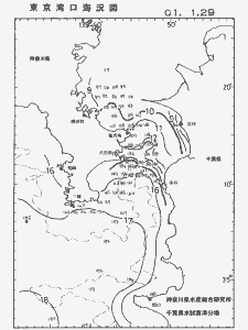 東京湾口海況図(2001/01/29)