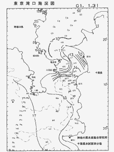 東京湾口海況図(2001/01/31)