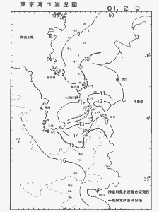 東京湾口海況図(2001/02/03)