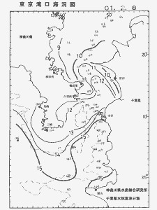 東京湾口海況図(2001/02/08)