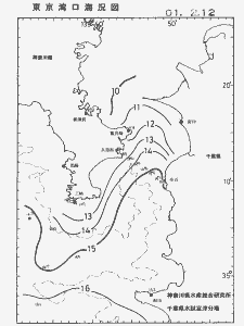 東京湾口海況図(2001/02/12)