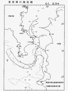東京湾口海況図(2001/02/24)