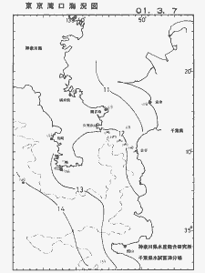 東京湾口海況図(2001/03/07)