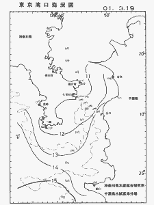 東京湾口海況図(2001/03/19)