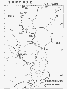 東京湾口海況図(2001/03/20)